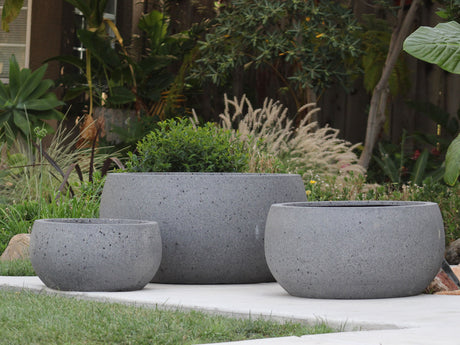MAPLE BOWL PLANTER
