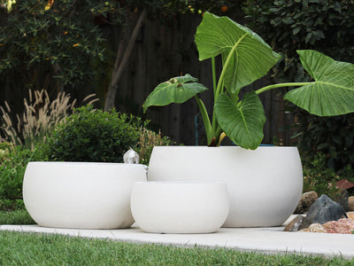 MAPLE BOWL PLANTER