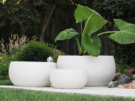 MAPLE BOWL PLANTER