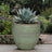 Green Lime Stone