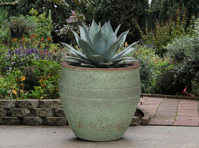 BASIN PLANTER