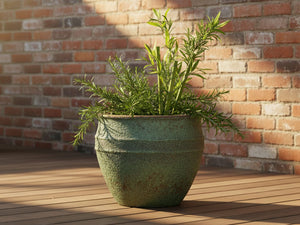 BASIN PLANTER