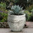 Ivory Natural Stone