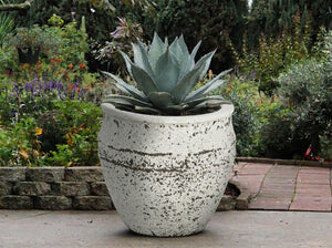 BASIN PLANTER