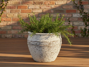 BASIN PLANTER