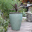 Green Limestone