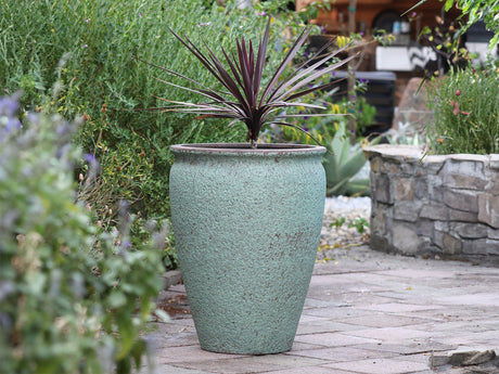MAXIMUS PLANTER