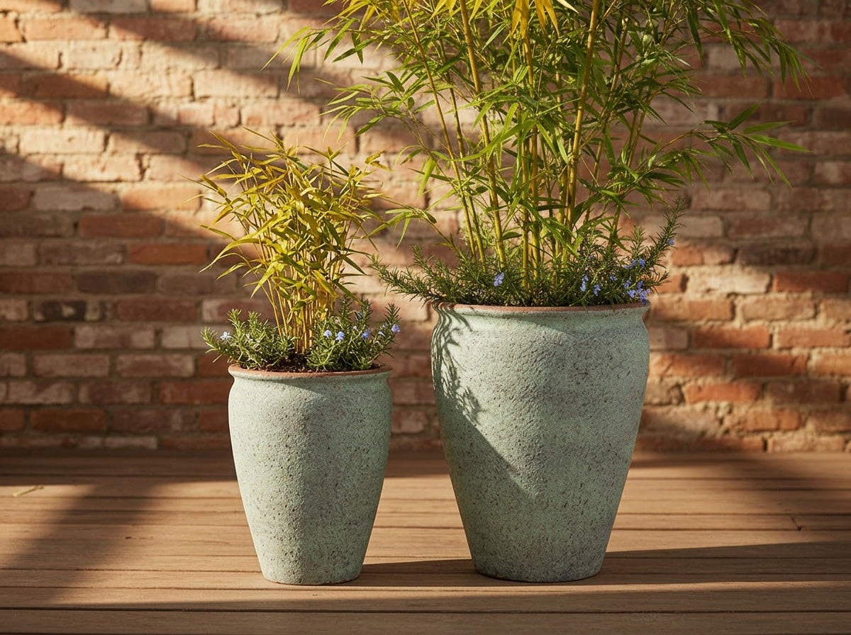 MAXIMUS PLANTER