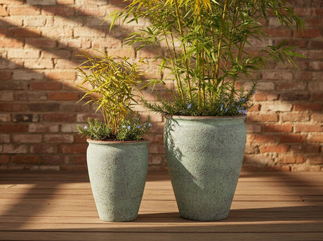 MAXIMUS PLANTER