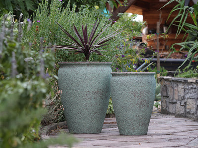MAXIMUS PLANTER