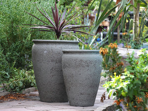 MAXIMUS PLANTER