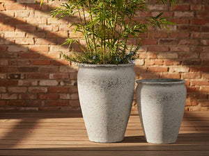 MAXIMUS PLANTER