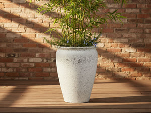 MAXIMUS PLANTER