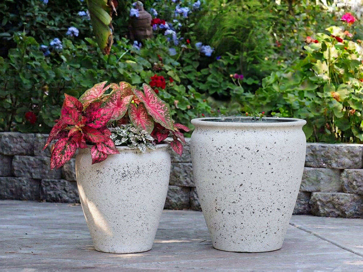 MAXIMUS PLANTER