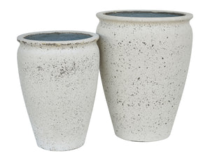 MAXIMUS PLANTER