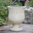 Ivory Natural Stone
