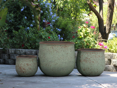 TITAN PLANTER