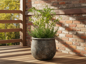 TITAN PLANTER