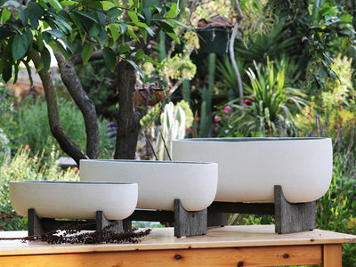 VENITIAN OVAL PLANTER With ACACIA WOOD STAND