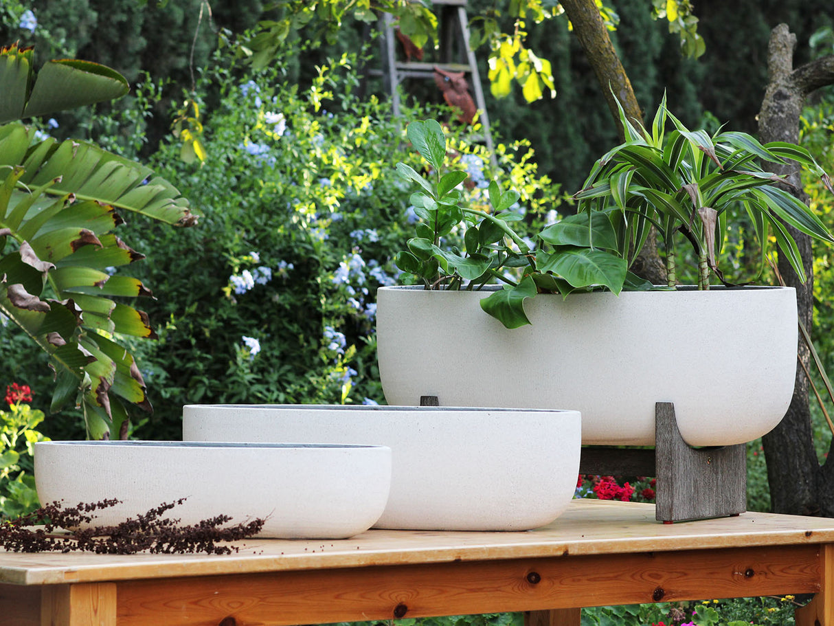 VENITIAN OVAL PLANTER With ACACIA WOOD STAND