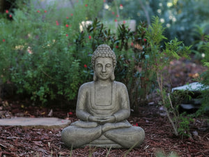 Meditation Buddha