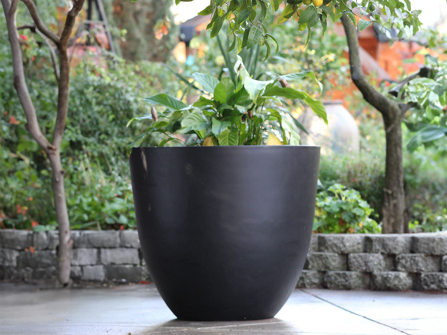 Deep Bowl Planter | Modern Garden Planters – PLANTATOREM
