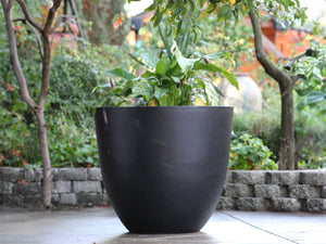Deep Bowl Planter 43.5" D x 37.5" H  By Plantatorem