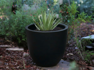 Deep Bowl Planter (Set of 4) By Plantatorem