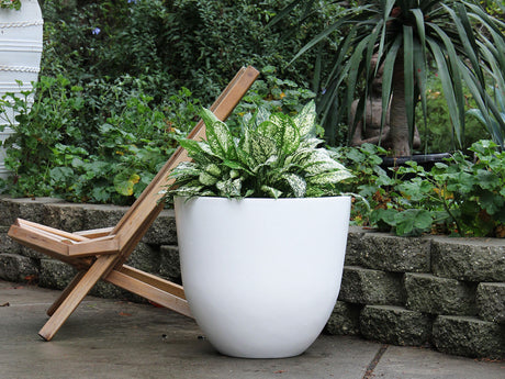Deep Bowl Planter 43.5" D x 37.5" H  By Plantatorem