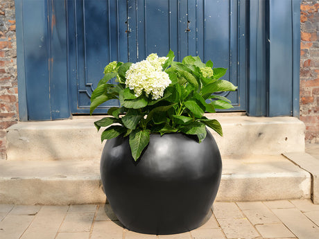 Sphere Planter- (Single Planter)