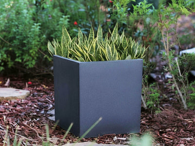 Cube Planter By Plantatorem