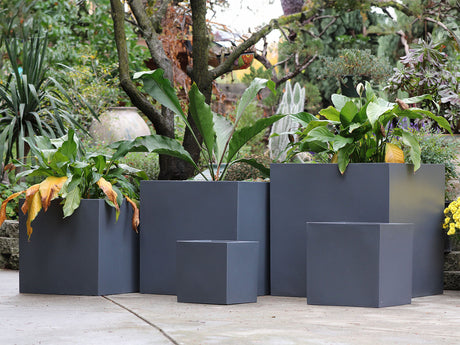 Cube Planter 12.0" - 27.5" By Plantatorem