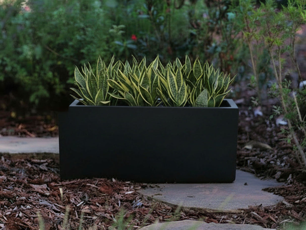 Rectangular Box Planter (Set of 4) By Plantatorem