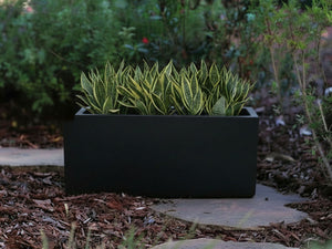 Rectangular Box Planter (Set of 4) By Plantatorem