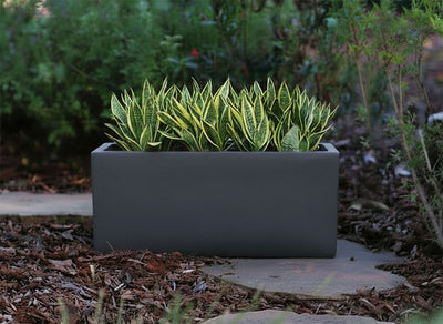 Rectangular Box Planter By Plantatorem