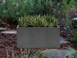 Rectangular Box Planter (Set of 4) By Plantatorem