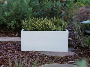 Rectangular Box Planter (Set of 4) By Plantatorem