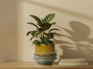 Art Décor Planter