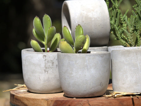 Bell Curve Concrete Planter