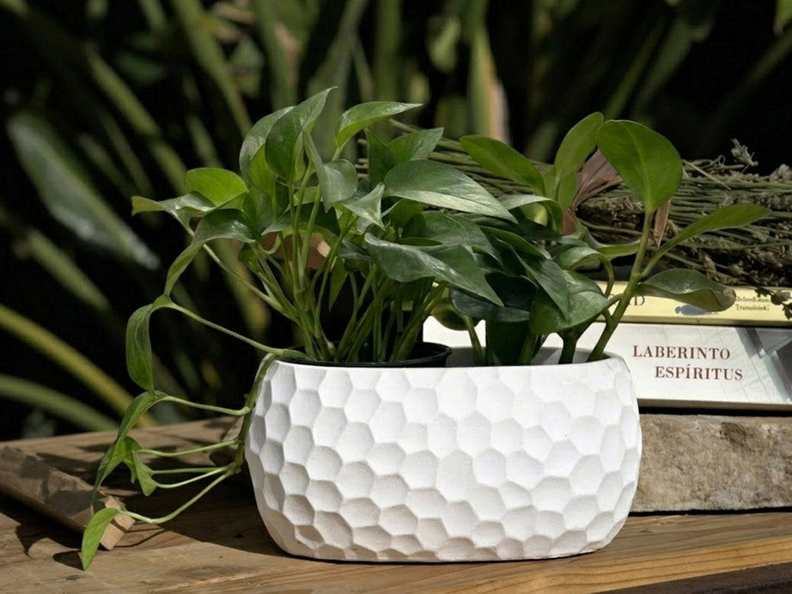 The Avenue Art Decor Honeycomb Oval