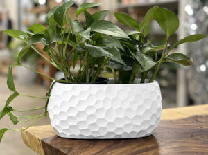 AVENUE ART DÉCOR HONEYCOMB OVAL