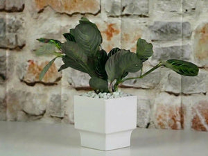 ART DECOR SQUARE PLANTER