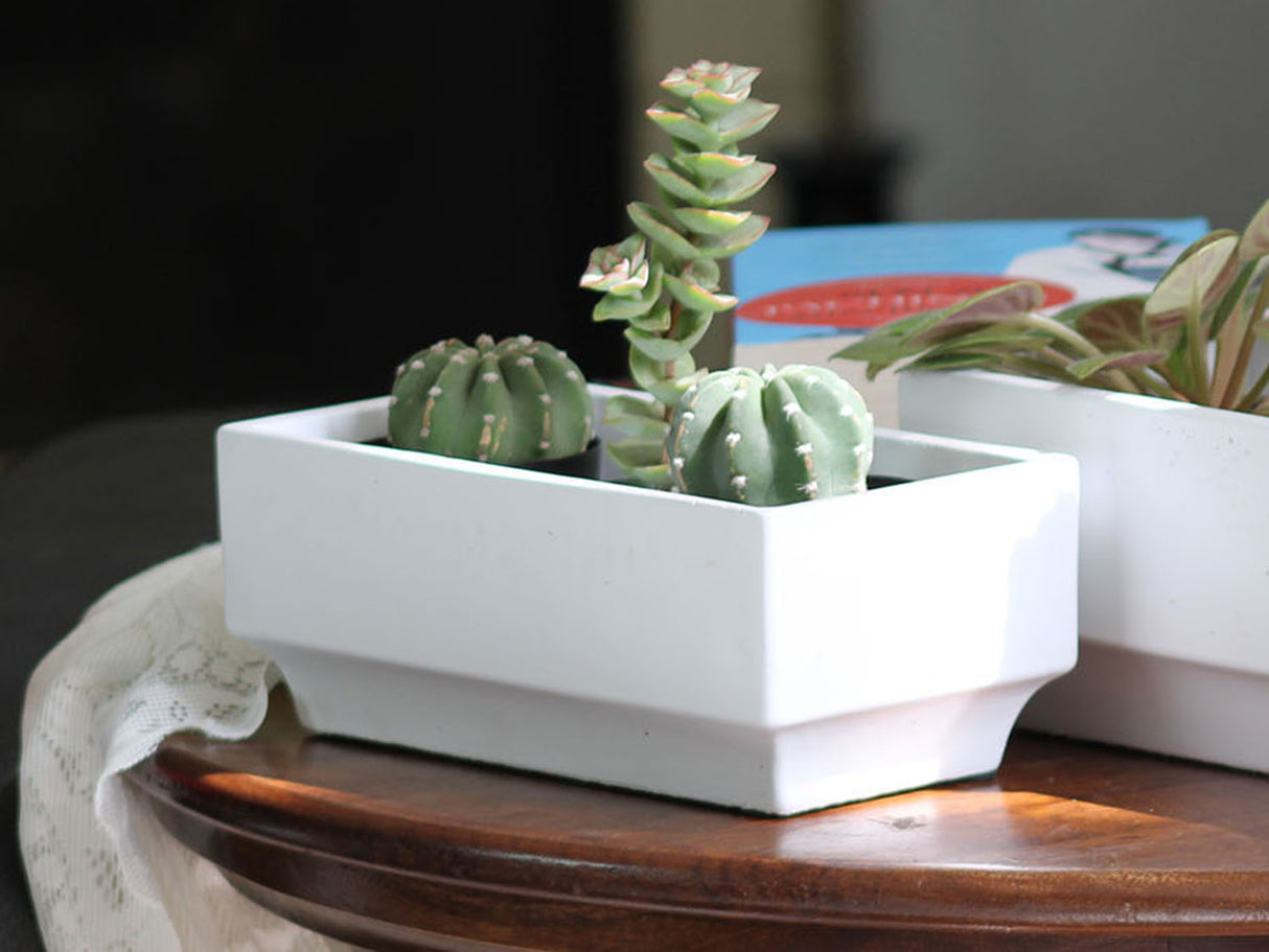 Art Decor Rectangular Planter By Plantatorem