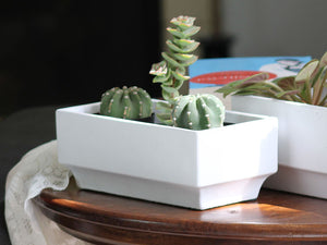 Art Decor Rectangular Planter By Plantatorem