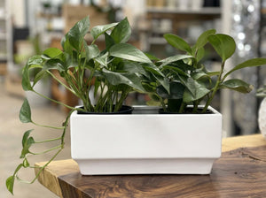 Art Decor Rectangular Planter By Plantatorem