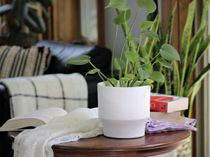 Art Decor Round Planter By Plantatorem