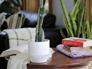 Art Decor Round Planter By Plantatorem
