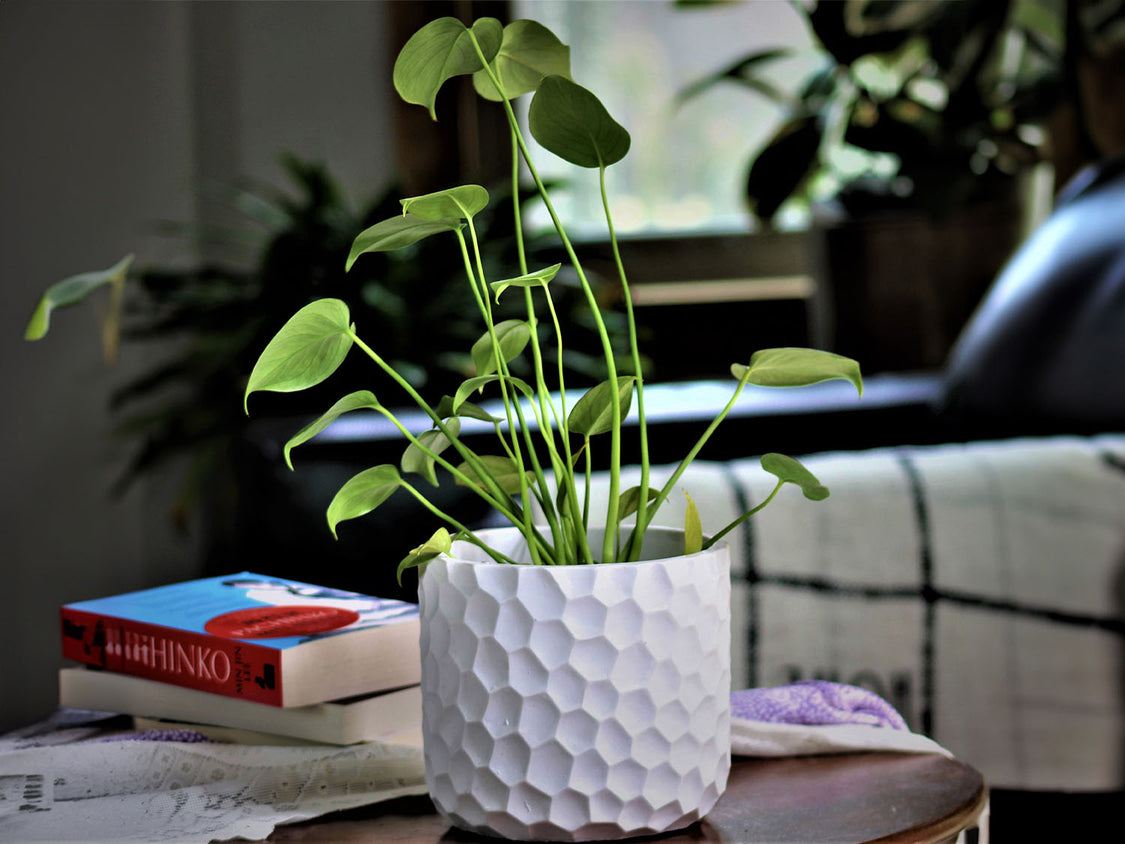 Art Decor Honeycomb Planter Art Decor Honeycomb Planter