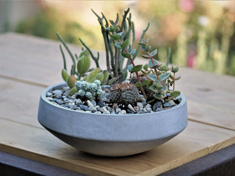 Geometry Low Sphere Planter