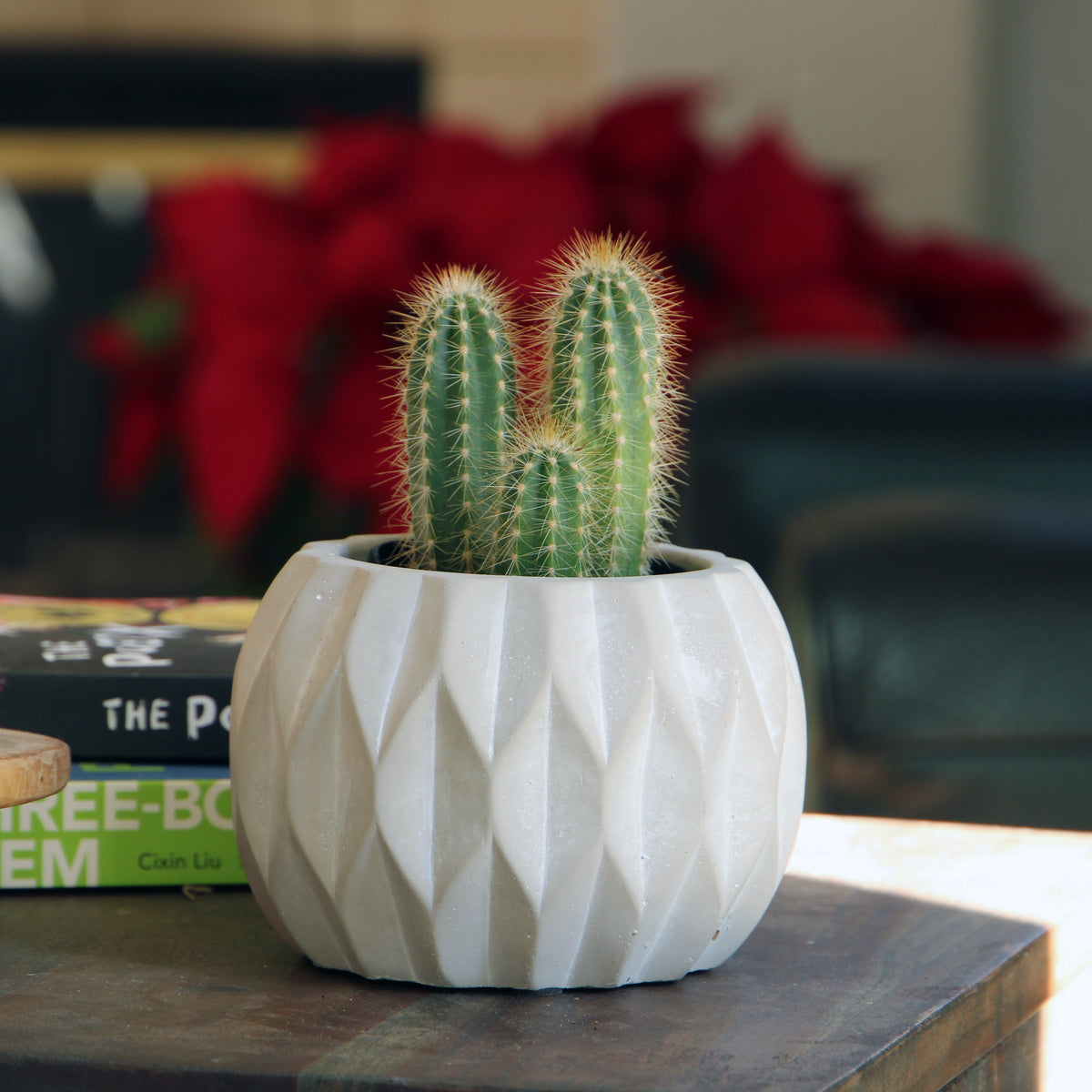 Geometry Pot Geometry Diamond Twirl Planter | Modern Indoor Pot – PLANTATOREM